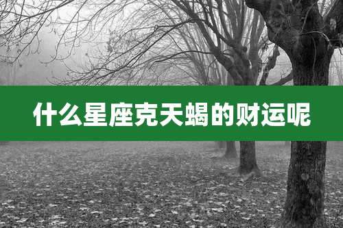什么星座克天蝎的财运呢