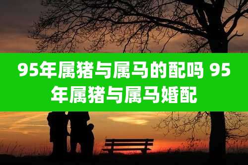 95年属猪与属马的配吗 95年属猪与属马婚配