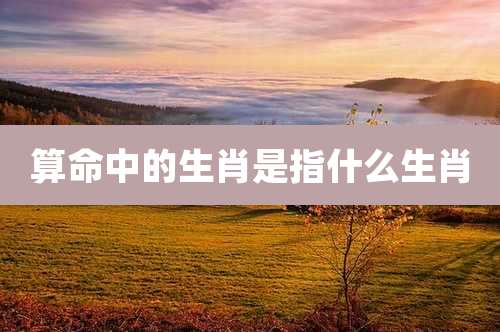 算命中的生肖是指什么生肖