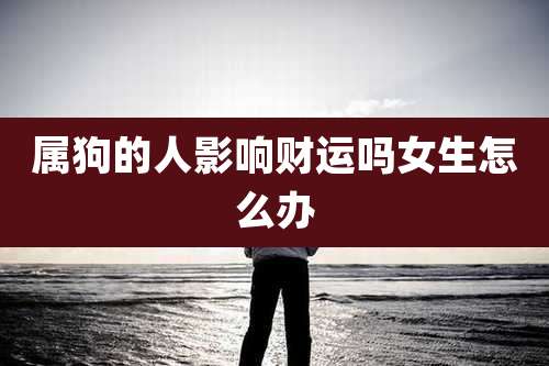 属狗的人影响财运吗女生怎么办