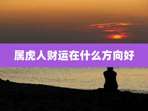 属虎人财运在什么方向好