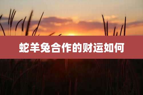 蛇羊兔合作的财运如何