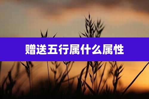 赠送五行属什么属性