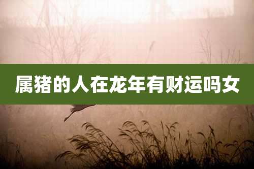 属猪的人在龙年有财运吗女
