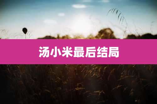 汤小米最后结局