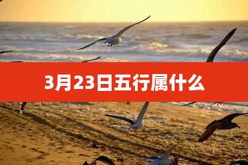 3月23日五行属什么