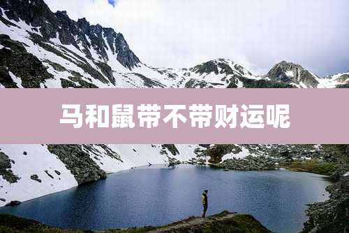 马和鼠带不带财运呢