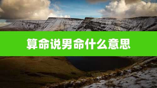 算命说男命什么意思