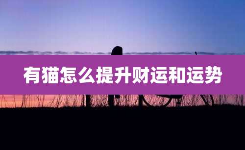 有猫怎么提升财运和运势