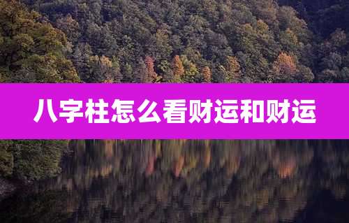 八字柱怎么看财运和财运