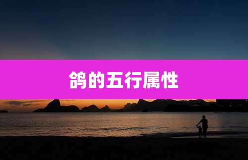 鸽的五行属性
