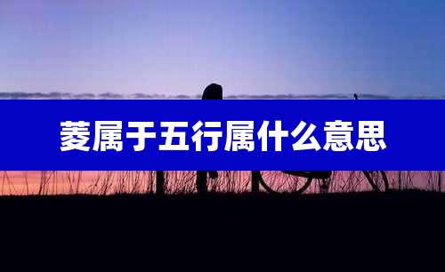 菱属于五行属什么意思