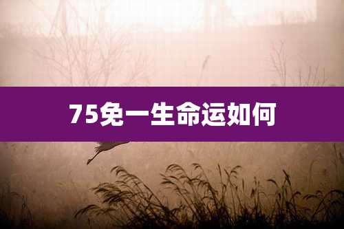 75免一生命运如何