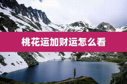 桃花运加财运怎么看