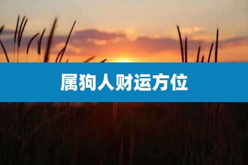 属狗人财运方位
