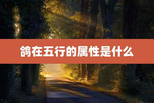 鸽在五行的属性是什么