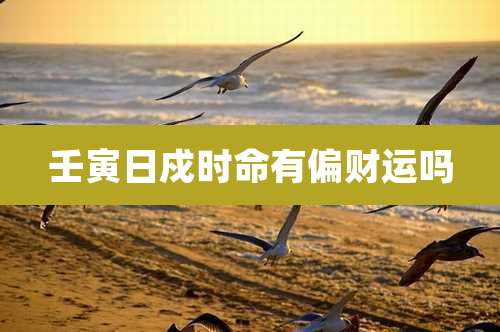 壬寅日戍时命有偏财运吗
