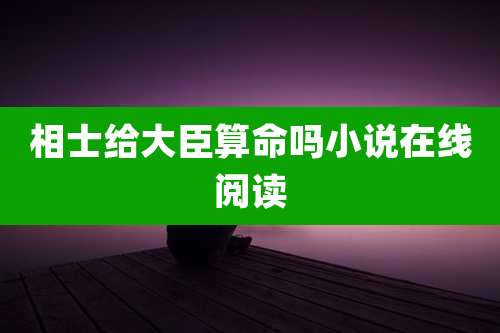 相士给大臣算命吗小说在线阅读