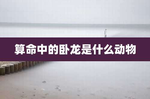 算命中的卧龙是什么动物