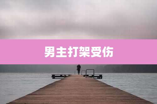男主打架受伤