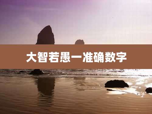 大智若愚一准确数字