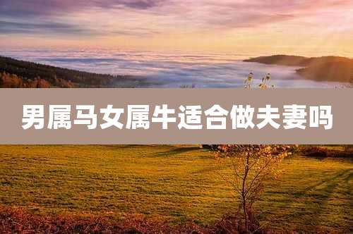 男属马女属牛适合做夫妻吗
