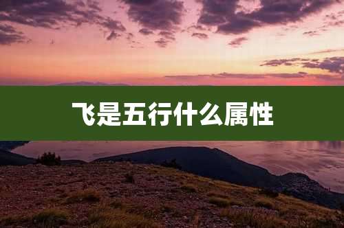 飞是五行什么属性