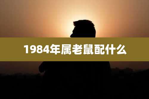 1984年属老鼠配什么