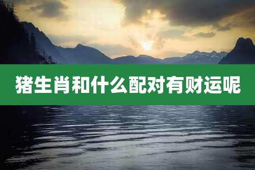 猪生肖和什么配对有财运呢