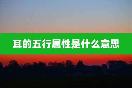 耳的五行属性是什么意思