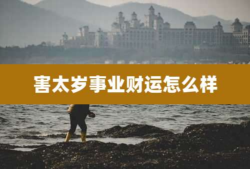 害太岁事业财运怎么样