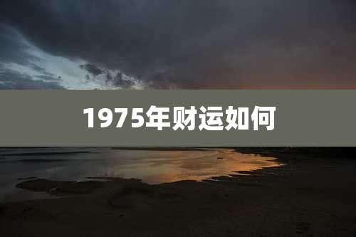1975年财运如何