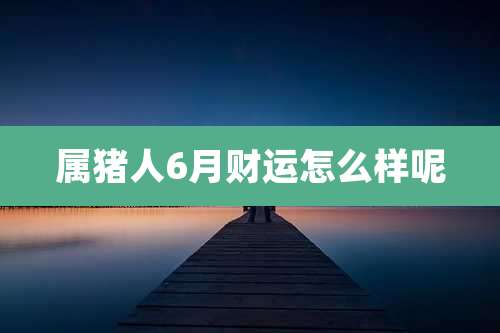 属猪人6月财运怎么样呢