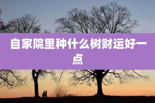 自家院里种什么树财运好一点