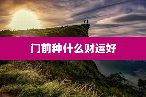 门前种什么财运好
