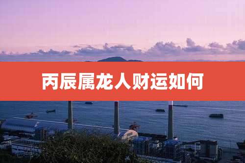 丙辰属龙人财运如何