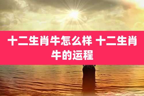 十二生肖牛怎么样 十二生肖牛的运程