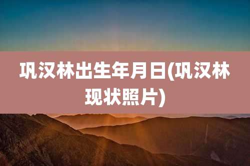 巩汉林出生年月日(巩汉林现状照片)