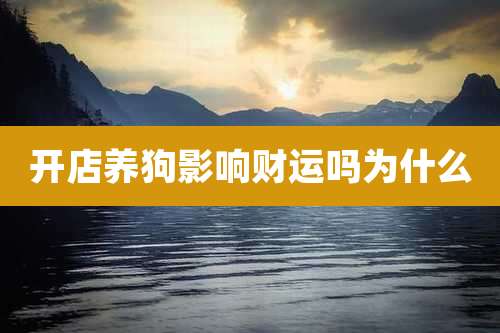 开店养狗影响财运吗为什么