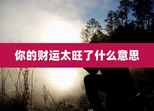 你的财运太旺了什么意思