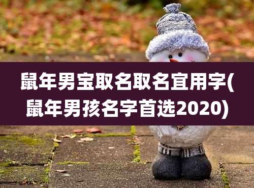 鼠年男宝取名取名宜用字(鼠年男孩名字首选2020)