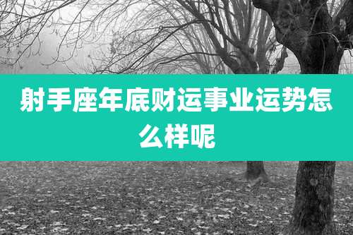 射手座年底财运事业运势怎么样呢