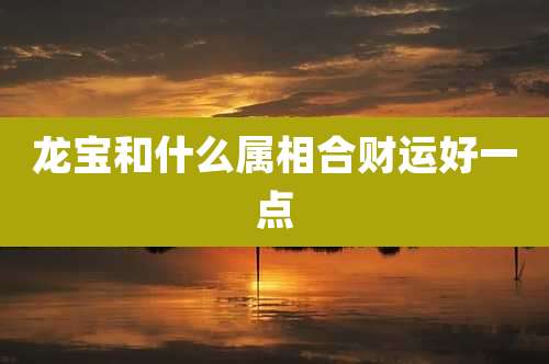 龙宝和什么属相合财运好一点