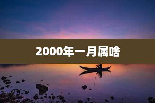 2000年一月属啥