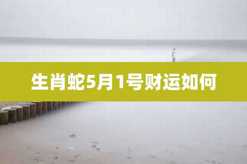 生肖蛇5月1号财运如何