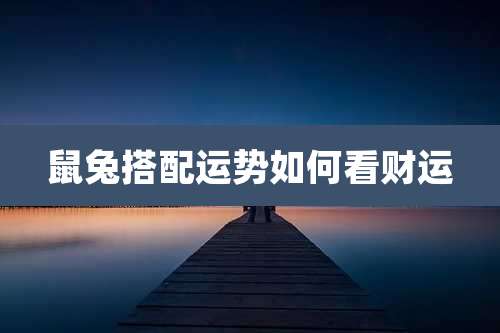 鼠兔搭配运势如何看财运