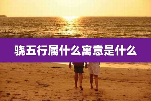 骁五行属什么寓意是什么