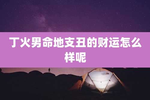 丁火男命地支丑的财运怎么样呢