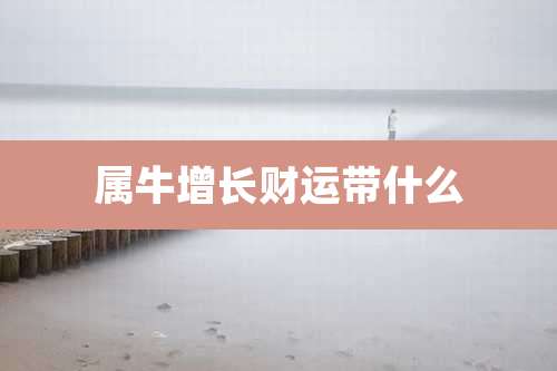 属牛增长财运带什么