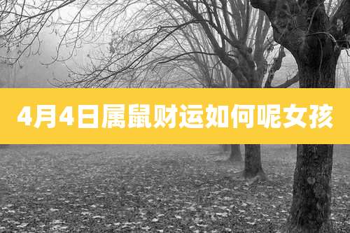 4月4日属鼠财运如何呢女孩